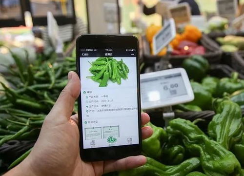 為什么要農產品溯源？一文為你解答智能農業管理