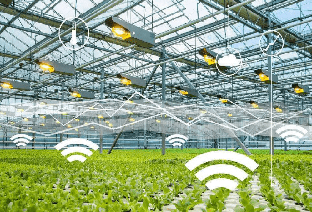 物聯網時代下，物聯卡在智慧農業中的應用場景與特性解析